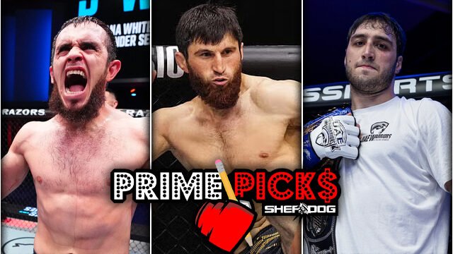 7 Contenders Emerge in UFC Abu Dhabi Prime Picks