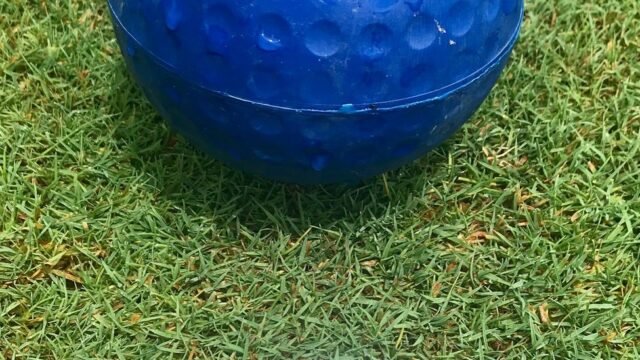 Marion Star Boys, Girls Golfer of the Year Polls Open for 2026 Season