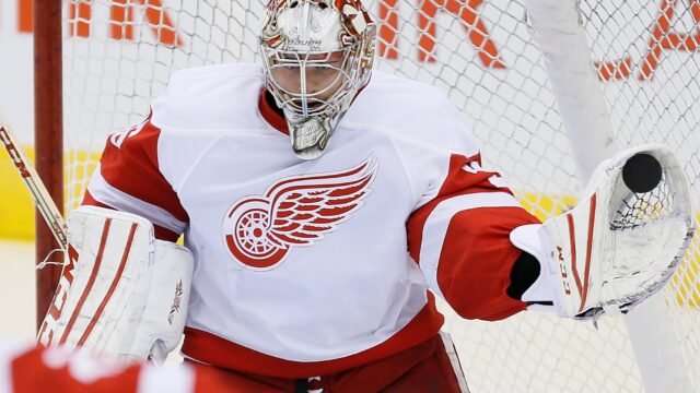 Paterson joins Wings as their new assistant coach