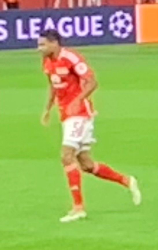 Danilho Doekhi