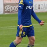 Pavel Šulc