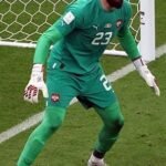 Vanja Milinković-Savić