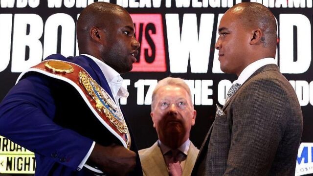 Daniel Dubois to defend WBO heavyweight title in London rematch against Fabio Wardley