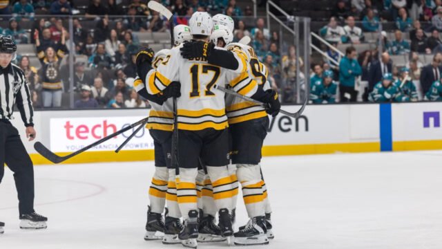 Ducks hold off Bruins 2-1 as Frederic Brunet scores first NHL goal in Anaheim